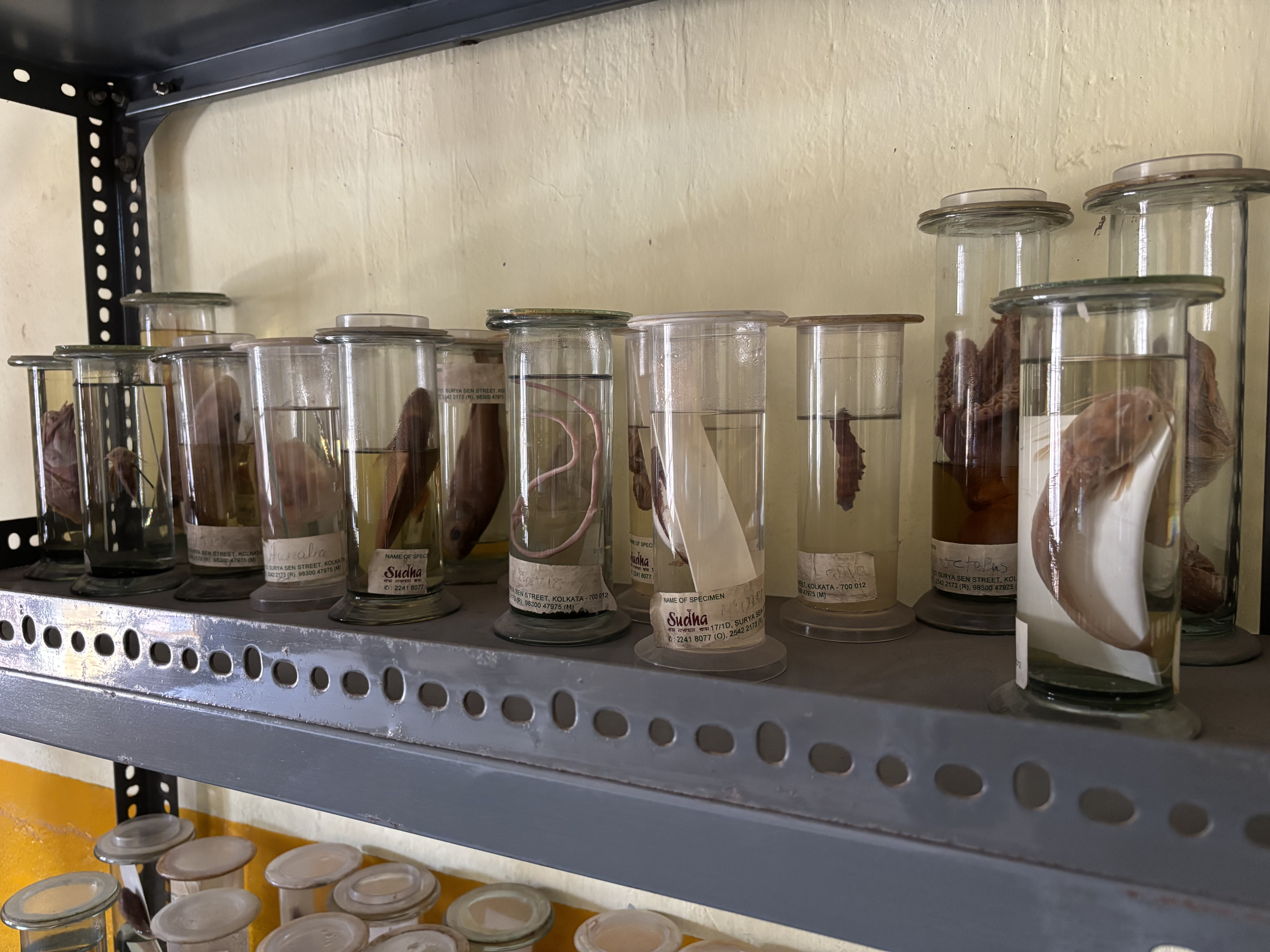 Laboratories